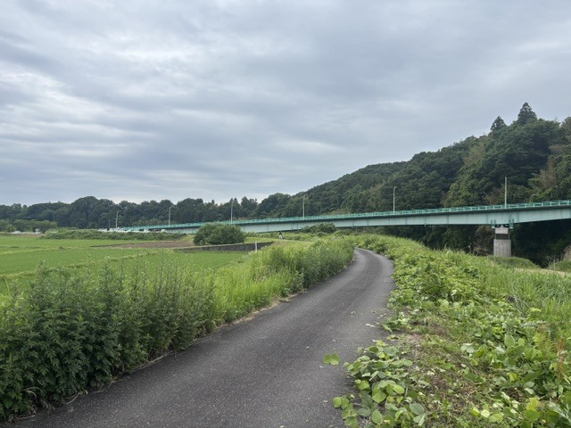 日々の暮らし